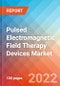 Pulsed Electromagnetic Field Therapy Devices Market Insights, Competitive Landscape and Market Forecast-2027 - Product Image