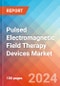 Pulsed Electromagnetic Field Therapy Devices - Market Insights, Competitive Landscape, and Market Forecast - 2030 - Product Image