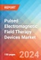 Pulsed Electromagnetic Field Therapy Devices Market Insights, Competitive Landscape and Market Forecast-2027 - Product Thumbnail Image