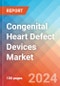 Congenital Heart Defect Devices Market Insights, Competitive Landscape and Market Forecast-2027 - Product Thumbnail Image