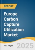 Europe Carbon Capture Utilization Market Size, Share & Trends Analysis Report by Application (Enhanced Oil Recovery, Industrial, and Agriculture), by Country (Germany, France, Netherland, Poland, Austria), and Segment Forecasts, 2020-2028- Product Image