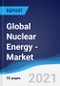 Global Nuclear Energy - Market Summary, Competitive Analysis and Forecast to 2025 - Product Image
