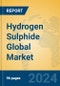 Hydrogen Sulphide Global Market Insights 2024, Analysis and Forecast to 2029, by Manufacturers, Regions, Technology, Application, Product Type - Product Image