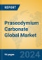 Praseodymium Carbonate Global Market Insights 2024, Analysis and Forecast to 2029, by Manufacturers, Regions, Technology, Application - Product Image