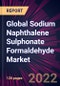 Global Sodium Naphthalene Sulphonate Formaldehyde Market 2022-2026 - Product Thumbnail Image
