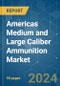 Americas Medium and Large Caliber Ammunition - Market Share Analysis, Industry Trends & Statistics, Growth Forecasts 2019 - 2029 - Product Thumbnail Image
