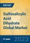 Sulfosalicylic Acid Dihydrate Global Market Insights 2023, Analysis and Forecast to 2028, by Manufacturers, Regions, Technology, Application, Product Type - Product Image