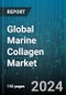 Global Marine Collagen Market by Source (Bones & Tendons, Skin, Scales & Muscles), Type (Type I, Type III), Application - Forecast 2024-2030 - Product Thumbnail Image