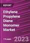Ethylene Propylene Diene Monomer Market Share, Size, Trends, Industry Analysis Report, By Product, By Manufacturing Process, By End-Use, By Region, Segment Forecast, 2023-2032 - Product Image