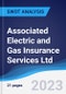 Associated Electric and Gas Insurance Services Ltd - Strategy, SWOT and Corporate Finance Report - Product Thumbnail Image