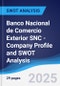 Banco Nacional de Comercio Exterior SNC - Company Profile and SWOT Analysis - Product Thumbnail Image