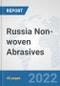 Russia Non-woven Abrasives: Prospects, Trends Analysis, Market Size and Forecasts up to 2027 - Product Thumbnail Image