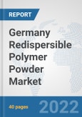 Germany Redispersible Polymer Powder Market: Prospects, Trends Analysis, Market Size and Forecasts up to 2027- Product Image