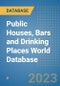 Public Houses, Bars and Drinking Places World Database - Product Image