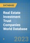 Real Estate Investment Trust Companies World Database - Product Image