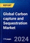 Global Carbon capture and Sequestration Market (2021-2026) by Service, Application, Geography, Competitive Analysis and the Impact of Covid-19 with Ansoff Analysis - Product Image