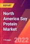 North America Soy Protein Market- Size, Trends, Competitive Analysis and Forecasts (2022-2027) - Product Image