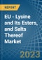 EU - Lysine and Its Esters, and Salts Thereof - Market Analysis, Forecast, Size, Trends and Insights. Update: COVID-19 Impact - Product Thumbnail Image