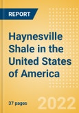 Haynesville Shale in the United States of America (USA) - Oil and Gas Shale Market Analysis and Outlook to 2025- Product Image