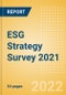 ESG (Environmental, Social, and Governance) Strategy Survey 2021 - Thematic Research - Product Image