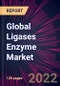 Global Ligases Enzyme Market 2022-2026 - Product Thumbnail Image