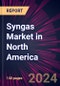 Syngas Market in North America 2022-2026 - Product Thumbnail Image