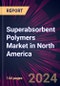 Superabsorbent Polymers Market in North America 2024-2028 - Product Image