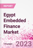 Egypt Embedded Finance Business and Investment Opportunities Databook - 50+ KPIs on Embedded Lending, Insurance, Payment, and Wealth Segments - Q1 2023 Update- Product Image
