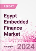 Egypt Embedded Finance Business and Investment Opportunities Databook - 75+ KPIs on Embedded Lending, Insurance, Payment, and Wealth Segments - Q2 2024 Update- Product Image