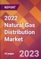 2022 Natural Gas Distribution Global Market Size & Growth Report with COVID-19 Impact - Product Image
