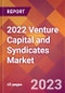 2022 Venture Capital and Syndicates Global Market Size & Growth Report with COVID-19 Impact - Product Image