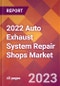 2022 Auto Exhaust System Repair Shops Global Market Size & Growth Report with COVID-19 Impact - Product Image