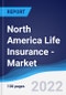 North America (NAFTA) Life Insurance - Market Summary, Competitive Analysis and Forecast, 2016-2025 - Product Thumbnail Image