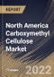 North America Carboxymethyl Cellulose Market By Purity Level, By Application, By Property, By Country, Opportunity Analysis and Industry Forecast, 2021-2027 - Product Thumbnail Image