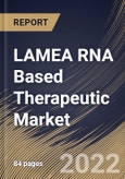 LAMEA RNA Based Therapeutic Market By Type, By Application, By End User, By Country, Opportunity Analysis and Industry Forecast, 2021-2027- Product Image