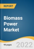 Biomass Power Market Size, Share & Trends Analysis Report by Feedstock (Solid Biofuel, Liquid Biofuel), by Technology (Combustion, Gasification), by Region (North America, EU, APAC), and Segment Forecasts, 2022-2030- Product Image