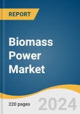 Biomass Power Market Size, Share & Trends Analysis Report by Feedstock (Solid Biofuel, Liquid Biofuel), by Technology (Combustion, Gasification), by Region (North America, EU, APAC), and Segment Forecasts, 2022-2030- Product Image