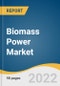 Biomass Power Market Size, Share & Trends Analysis Report by Feedstock (Solid Biofuel, Liquid Biofuel), by Technology (Combustion, Gasification), by Region (North America, EU, APAC), and Segment Forecasts, 2022-2030 - Product Image