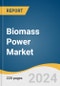 Biomass Power Market Size, Share & Trends Analysis Report by Feedstock (Solid Biofuel, Liquid Biofuel), by Technology (Combustion, Gasification), by Region (North America, EU, APAC), and Segment Forecasts, 2022-2030 - Product Thumbnail Image