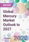 Global Mercury Market Outlook to 2027 - Product Thumbnail Image
