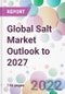 Global Salt Market Outlook to 2027 - Product Thumbnail Image