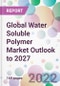 Global Water Soluble Polymer Market Outlook to 2027 - Product Thumbnail Image
