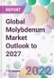 Global Molybdenum Market Outlook to 2027 - Product Thumbnail Image