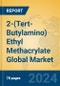 2-(Tert-Butylamino) Ethyl Methacrylate Global Market Insights 2024, Analysis and Forecast to 2029, by Manufacturers, Regions, Technology, Application, Product Type - Product Image