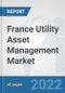 France Utility Asset Management Market: Prospects, Trends Analysis, Market Size and Forecasts up to 2027 - Product Thumbnail Image