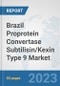 Brazil Proprotein Convertase Subtilisin/Kexin Type 9 Market: Prospects, Trends Analysis, Market Size and Forecasts up to 2030 - Product Image