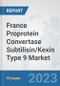 France Proprotein Convertase Subtilisin/Kexin Type 9 Market: Prospects, Trends Analysis, Market Size and Forecasts up to 2030 - Product Image