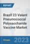 Brazil 23 Valent Pneumococcal Polysaccharide Vaccine Market: Prospects, Trends Analysis, Market Size and Forecasts up to 2030 - Product Image