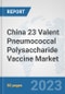 China 23 Valent Pneumococcal Polysaccharide Vaccine Market: Prospects, Trends Analysis, Market Size and Forecasts up to 2030 - Product Thumbnail Image