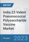 India 23 Valent Pneumococcal Polysaccharide Vaccine Market: Prospects, Trends Analysis, Market Size and Forecasts up to 2030 - Product Image